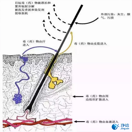  毛發(fā)毒品檢測(cè)儀檢測(cè)腿毛竟可以測(cè)出吸毒?做了全身脫毛也可以？